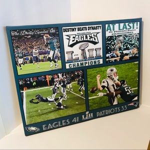 Philadelphia Eagles 2018 super bowl / HD canvas print size 16x20inches